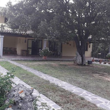 Agriturismo La Tuva Villa Padru Exterior foto