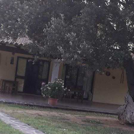 Agriturismo La Tuva Villa Padru Exterior foto