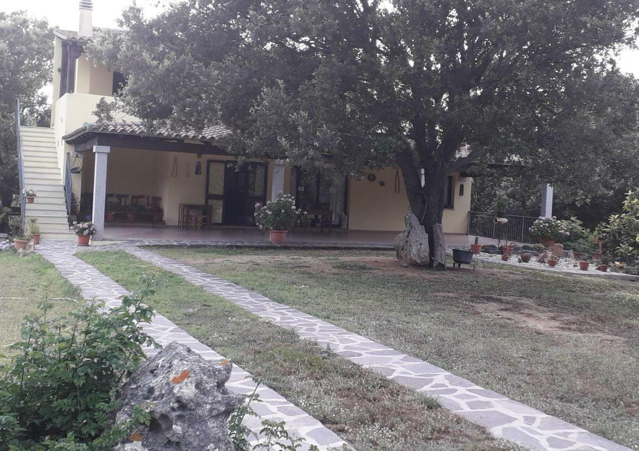Agriturismo La Tuva Villa Padru Exterior foto
